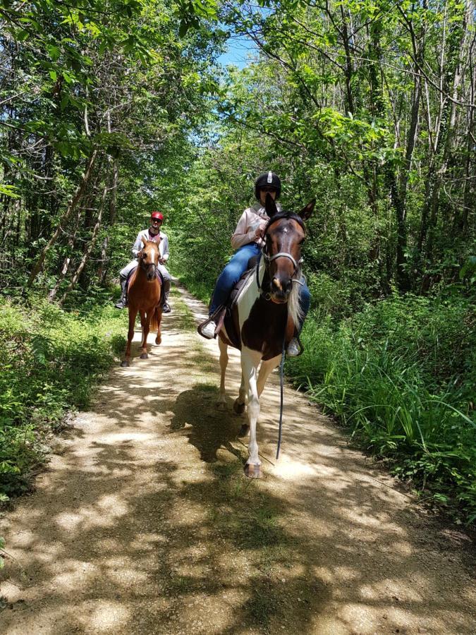 Gite Equestre Domaine Des Crins - Monpazier Capdrot Exterior foto