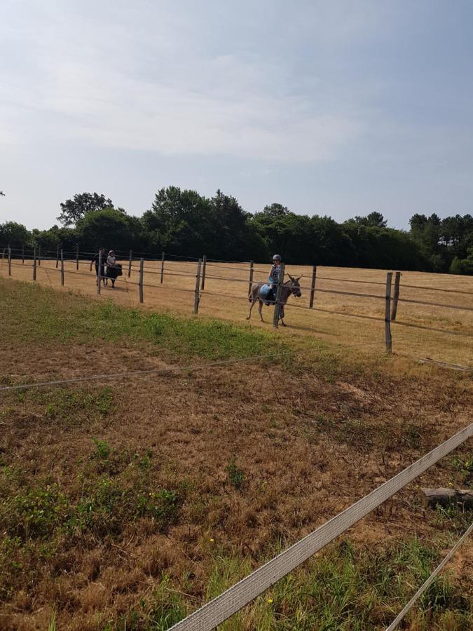 Gite Equestre Domaine Des Crins - Monpazier Capdrot Exterior foto