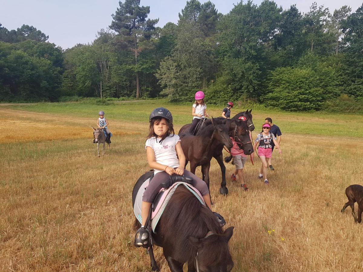 Gite Equestre Domaine Des Crins - Monpazier Capdrot Exterior foto