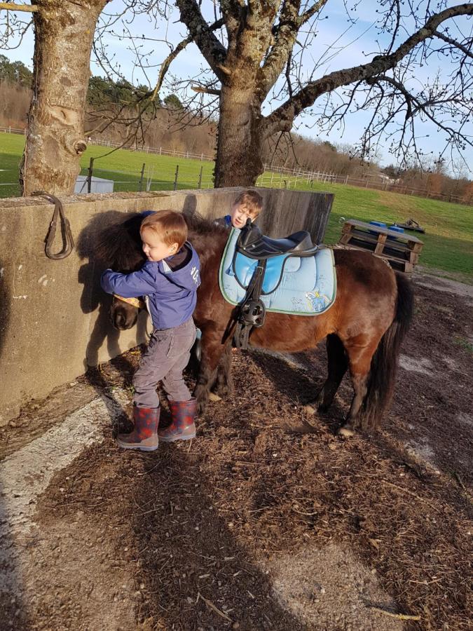 Gite Equestre Domaine Des Crins - Monpazier Capdrot Exterior foto