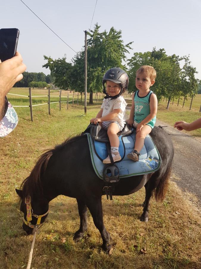 Gite Equestre Domaine Des Crins - Monpazier Capdrot Exterior foto