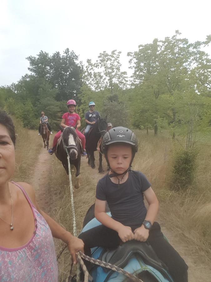 Gite Equestre Domaine Des Crins - Monpazier Capdrot Exterior foto
