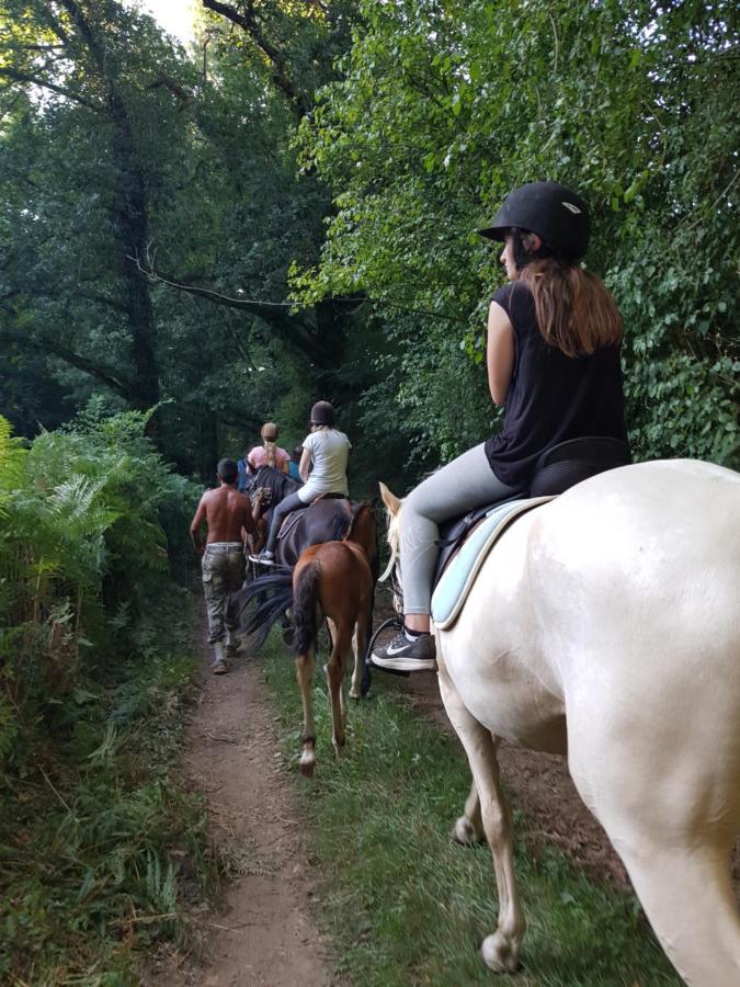 Gite Equestre Domaine Des Crins - Monpazier Capdrot Exterior foto
